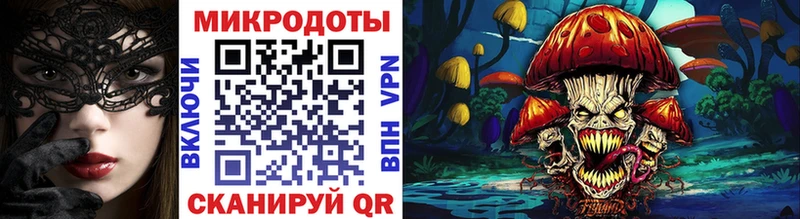 Псилоцибиновые грибы мухоморы  как найти   Переславль-Залесский 